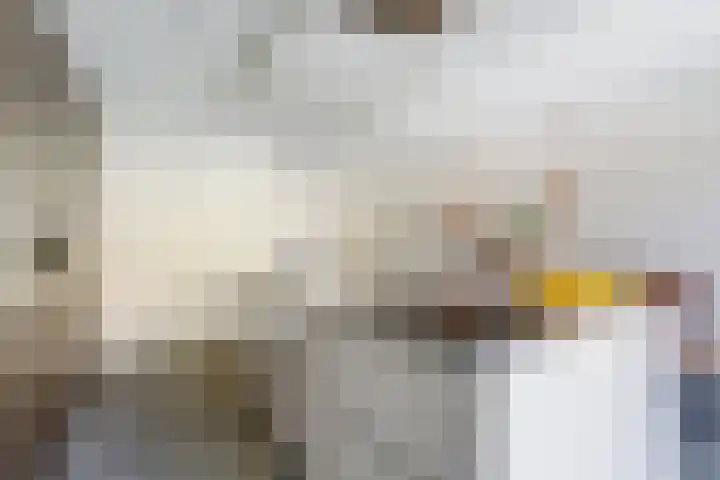 Broekweg 20 Venray thumbnail 8