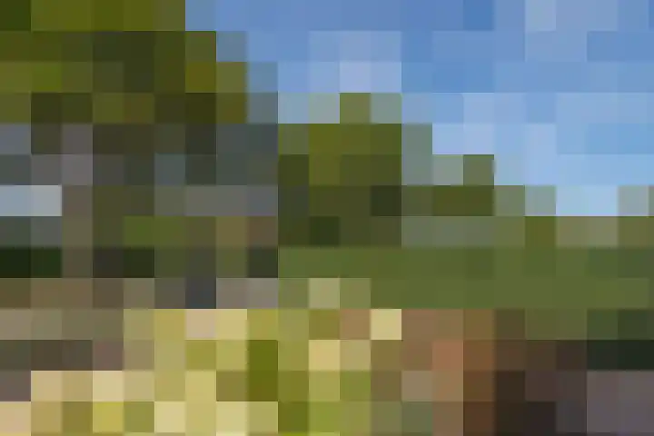 Broekweg 29 Ouddorp thumbnail 5