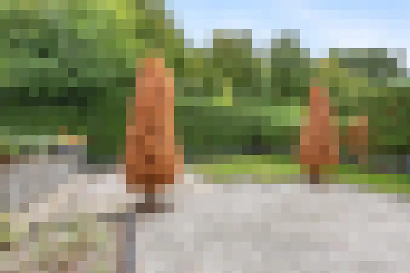 Broekweg 7 Plasmolen thumbnail 9