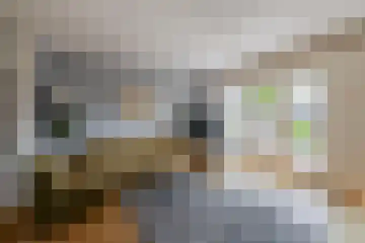 Broersmarken 4 Assendelft thumbnail 13