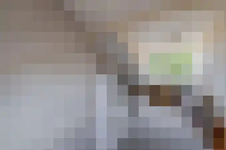 Broersmarken 4 Assendelft thumbnail 28