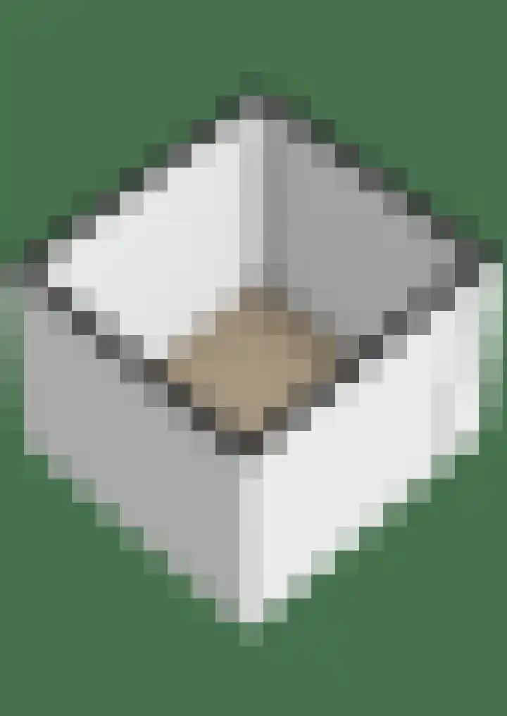 Broersmarken 4 Assendelft thumbnail 39