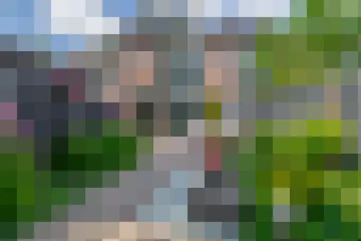 Broersmarken 4 Assendelft thumbnail 4