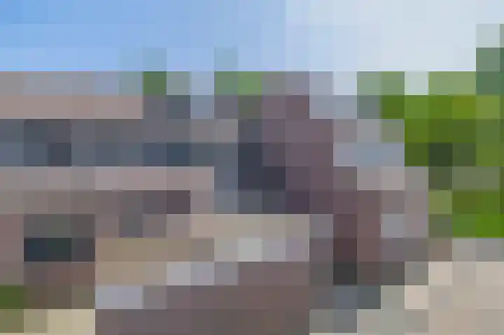 Broersmarken 4 Assendelft thumbnail 5