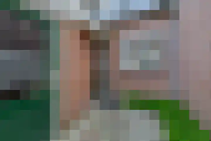 Broersmarken 4 Assendelft thumbnail 7