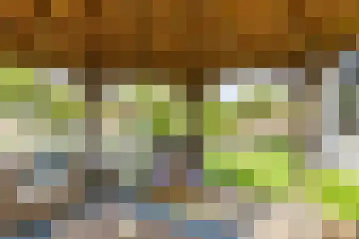 Bromelia 10 Dirksland thumbnail 38