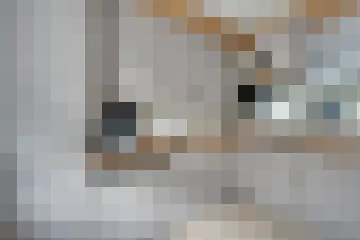 Bromostraat 10 Purmerend thumbnail 18
