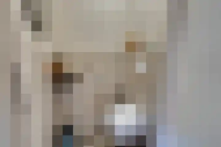 Bromostraat 10 Purmerend thumbnail 27