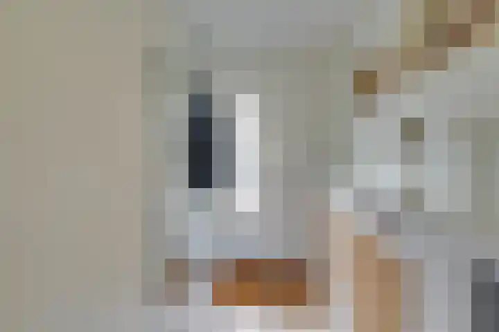 Bromostraat 10 Purmerend thumbnail 5