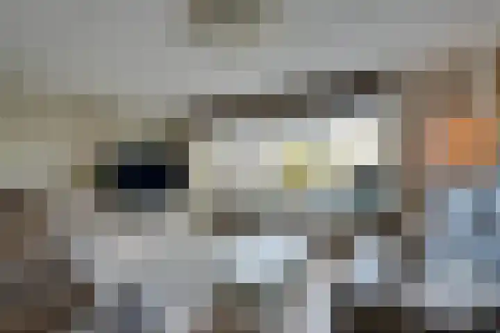 Bromostraat 10 Purmerend thumbnail 9