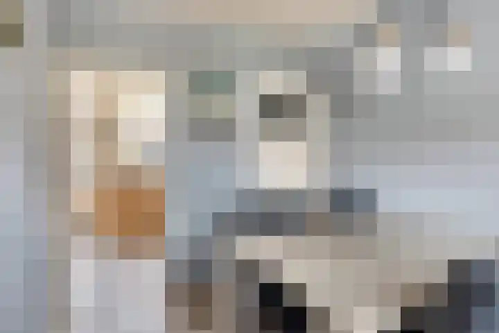 Bromsluis 24 Heusden thumbnail 13