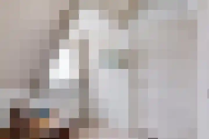 Bromsluis 24 Heusden thumbnail 17