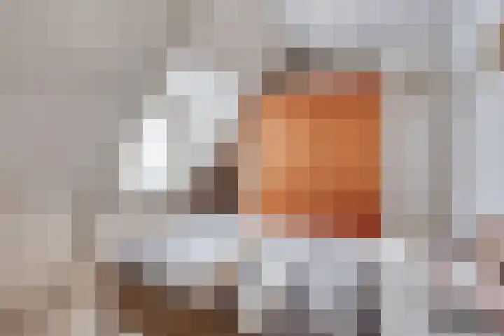 Bromsluis 24 Heusden thumbnail 19