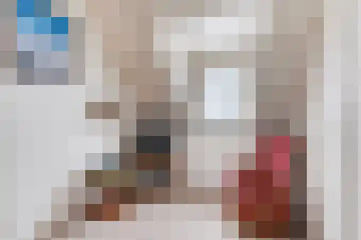 Bromsluis 24 Heusden thumbnail 24