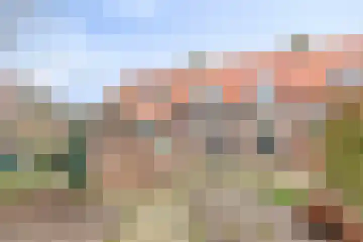 Bromsluis 24 Heusden thumbnail 31