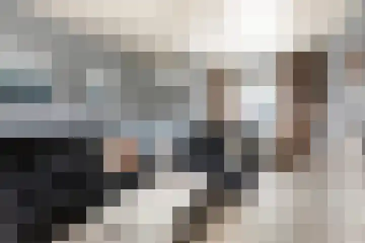 Bromsluis 24 Heusden thumbnail 5