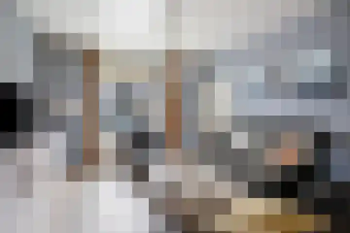 Bromsluis 24 Heusden thumbnail 6