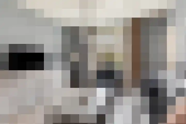 Bromsluis 24 Heusden thumbnail 7