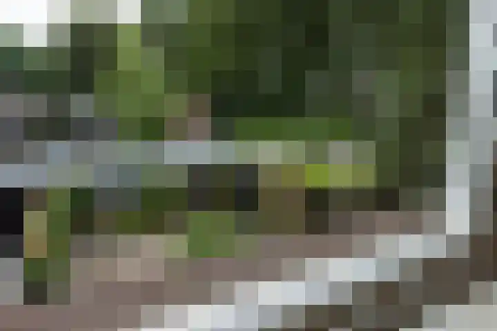 Bronbeekstraat 55 Eibergen thumbnail 22