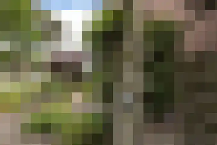 Bronbeekstraat 55 Eibergen thumbnail 30