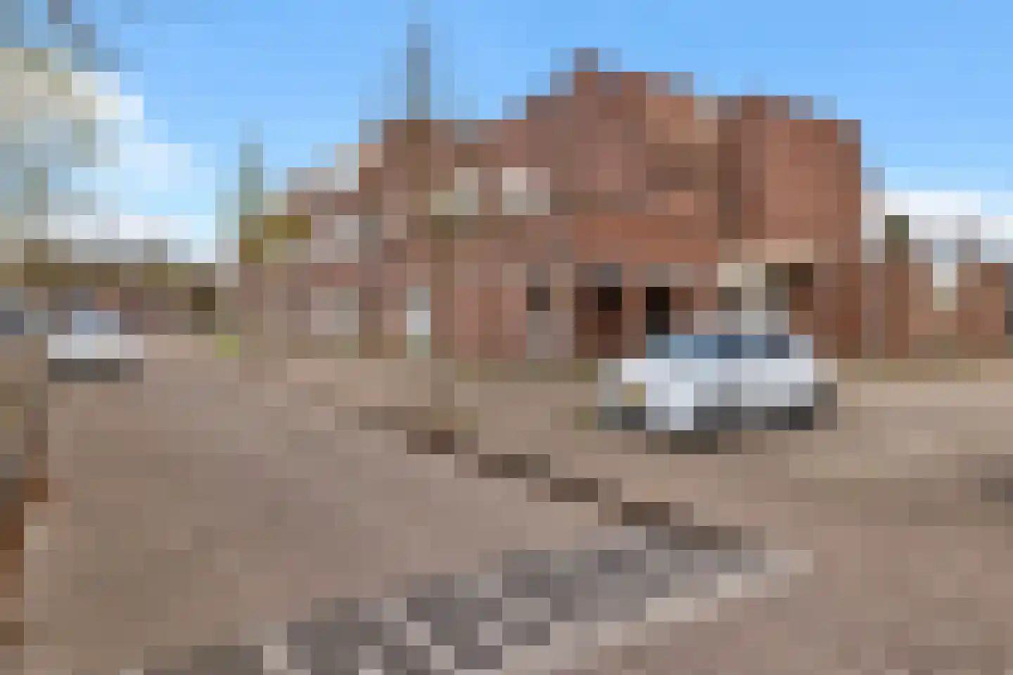 Brongouw 60 E Almere thumbnail 4