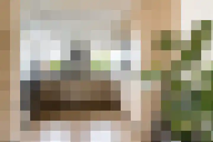 Bronkhorst 8 Andel thumbnail 16