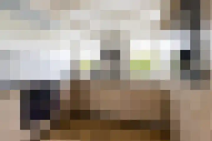 Bronkhorst 8 Andel thumbnail 17