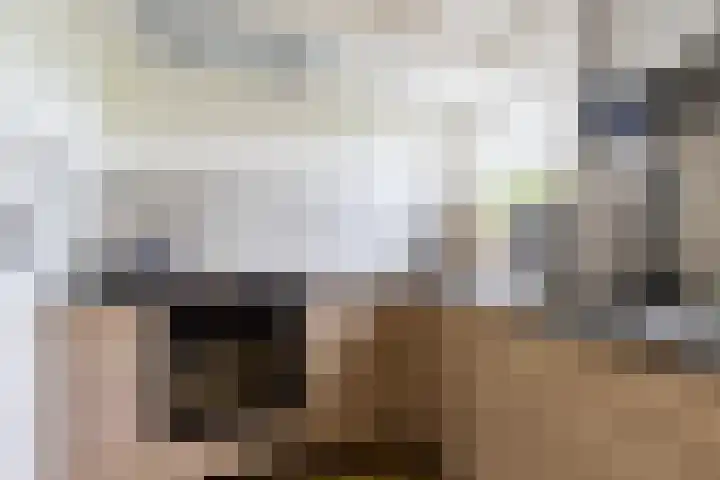 Bronkhorst 8 Andel thumbnail 18