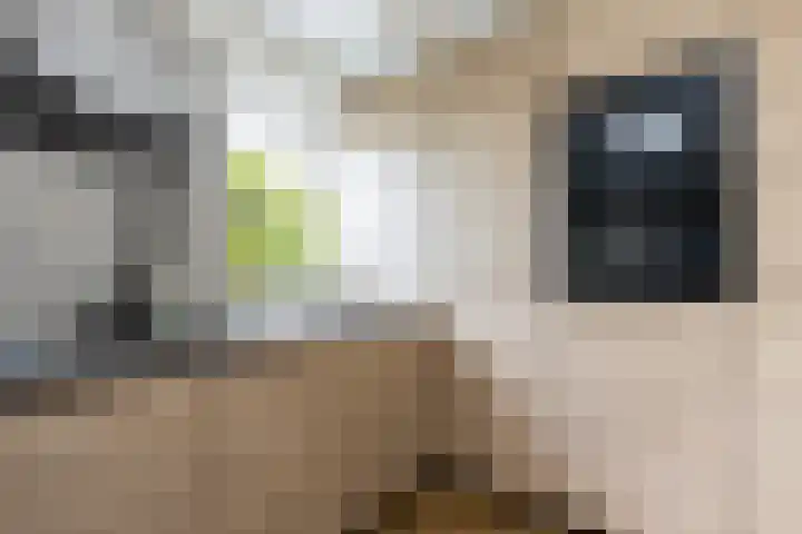Bronkhorst 8 Andel thumbnail 19