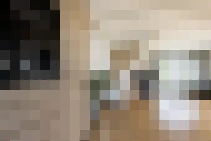 Bronkhorst 8 Andel thumbnail 20