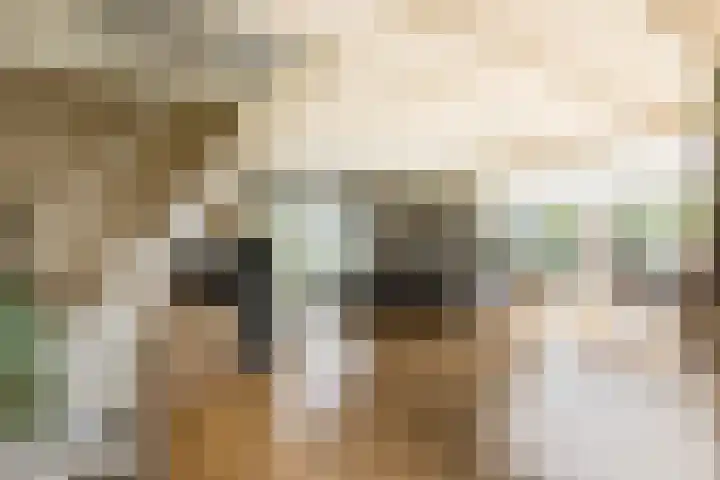 Bronkhorst 8 Andel thumbnail 21