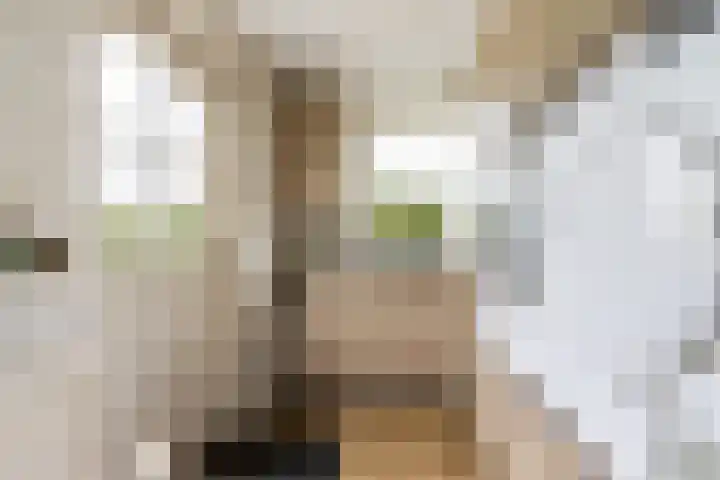Bronkhorst 8 Andel thumbnail 22
