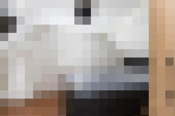 Bronkhorst 8 Andel thumbnail 26