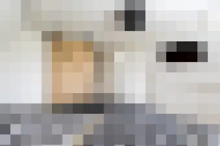 Bronkhorst 8 Andel thumbnail 27