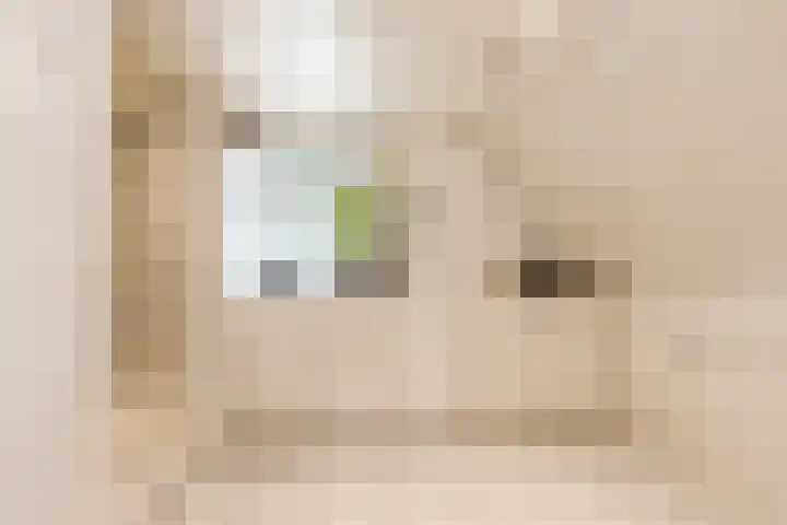 Bronkhorst 8 Andel thumbnail 29