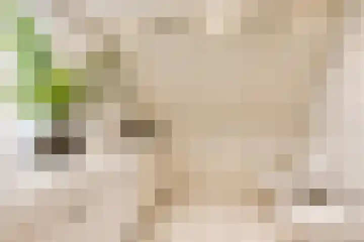 Bronkhorst 8 Andel thumbnail 30