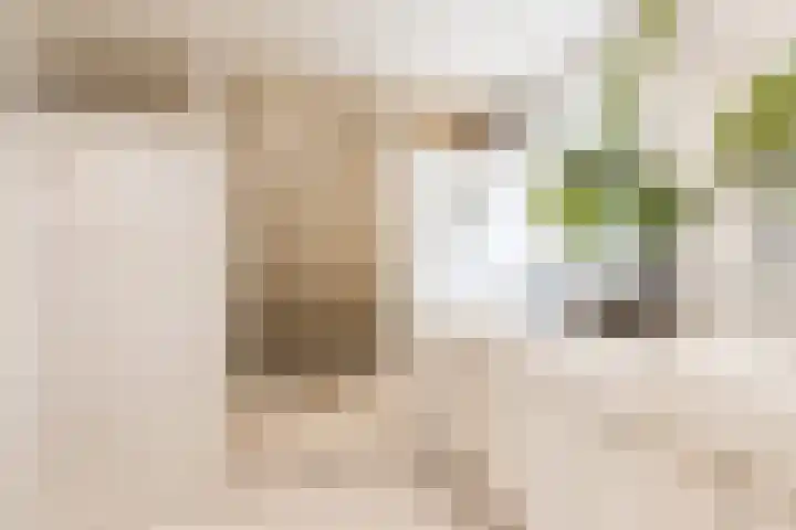 Bronkhorst 8 Andel thumbnail 31