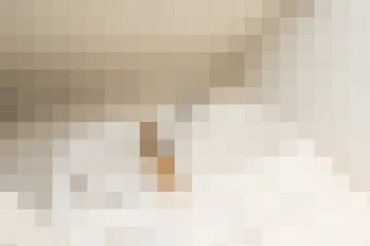 Bronkhorst 8 Andel thumbnail 32