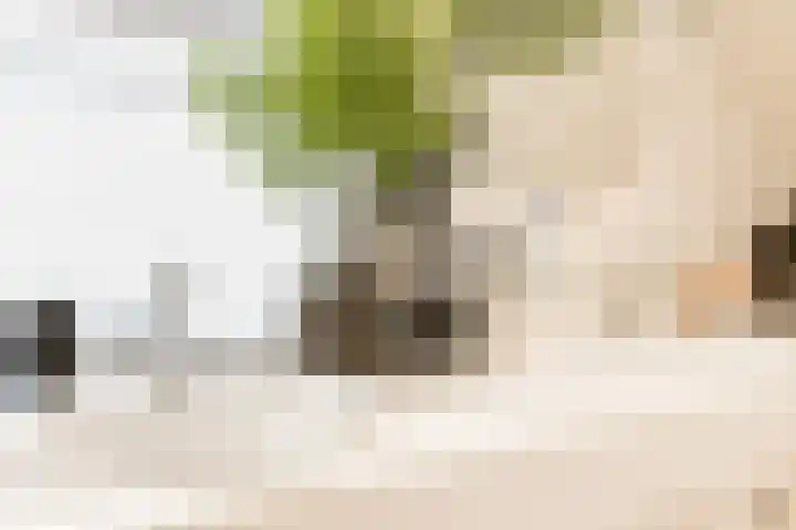 Bronkhorst 8 Andel thumbnail 34