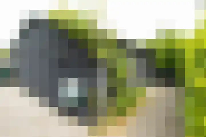 Bronkhorst 8 Andel thumbnail 35