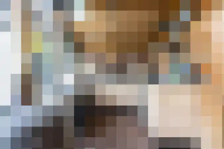 Bronkhorst 8 Andel thumbnail 36