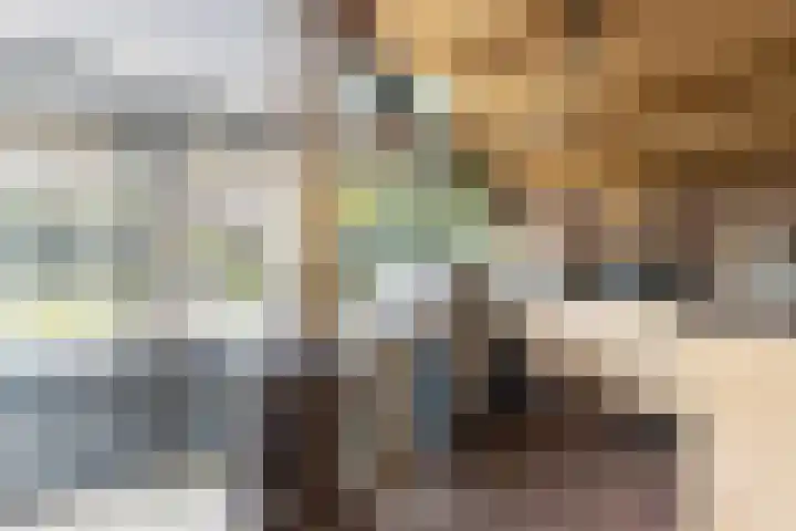 Bronkhorst 8 Andel thumbnail 37