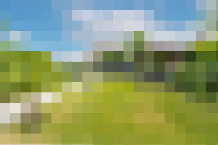 Bronkhorst 8 Andel thumbnail 39