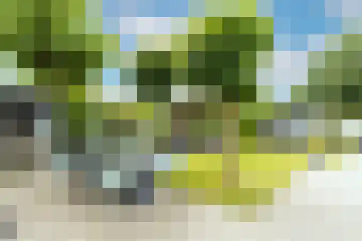 Bronkhorst 8 Andel thumbnail 42