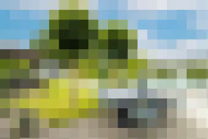 Bronkhorst 8 Andel thumbnail 43