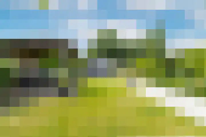 Bronkhorst 8 Andel thumbnail 44