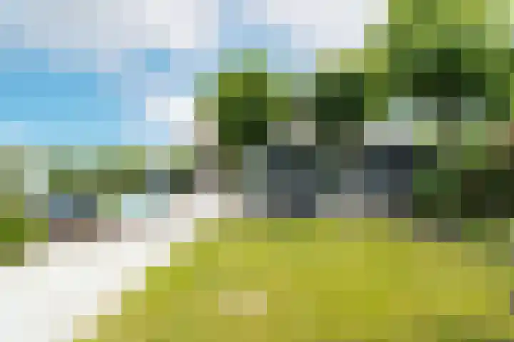 Bronkhorst 8 Andel thumbnail 45