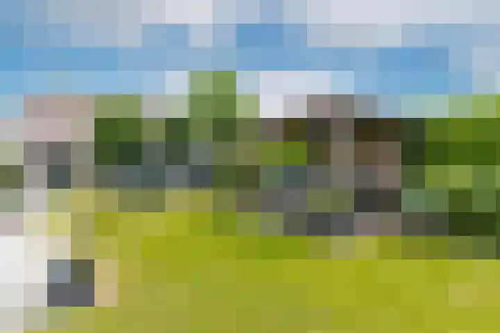 Bronkhorst 8 Andel thumbnail 46