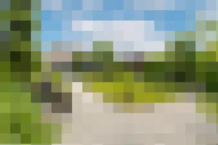 Bronkhorst 8 Andel thumbnail 47