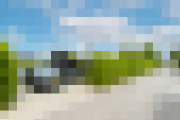 Bronkhorst 8 Andel thumbnail 48